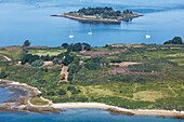 Frankreich, Morbihan, Golf von Morbihan, Heidekraut auf der Ile aux Moines und die Insel Creizic (Luftaufnahme)