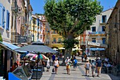 France, Pyrenees Orientales, Collioure, comes and goes from walkers on a square in the shade of plane trees\n