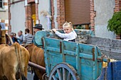 France, Loir et Cher, Courmemin, Berdigne Berdogne, traditional festival, popular festival, country party, village festival, traditions of yesteryear\n