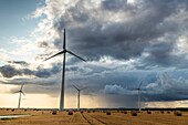 France, Somme, Nampont-Saint-Martin, wind turbines on stormy sky background\n