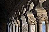 France,Vaucluse,Vaison la Romaine,Notre Dame de Nazareth cathedral,cloister dated 11th and 12th centuries,gallery,column,marquee