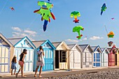 France, Somme, Bay of the Somme, Cayeux-sur-mer, The kite festival which takes place once a year on the pebble dike and the path of the boards lined with beach cabins\n