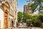 France, Paris, Saint Michel district, Saint Julien le Pauvre street and Notre Dame cathedral\n