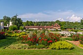 Frankreich, Somme, Tal der Authie, Argoules, die Gärten von Valloires sind botanische und landschaftliche Gärten auf dem Gelände der alten Zisterzienserabtei von Valloires auf einer Fläche von 8 Hektar und bezeichneten bemerkenswerten Garten