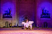 France, Oise, Chantilly, Chantilly Castle, the Great Stables, show of the Tercentenary of the Great Stables: Once upon a time...the Great Stables\n