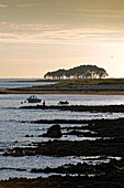 Frankreich, Morbihan, Golf von Morbihan, Regionaler Naturpark des Golfs von Morbihan, Locmariaquer, Pointe Kerpenhir, der Strand