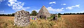 France, Vaucluse, regional natural reserve of Luberon, Saignon, borie on the plateau of Claparedes\n