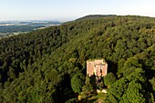 France, Bas Rhin, Niederbronn les Bains, Wasenbourg castle dated 13th century (aerial view)\n