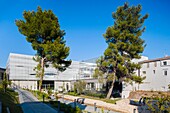 France, Gard, Nimes, Musee de la Romanite by architect Elizabeth de Portzamparc, rear facade and gardens of Romanity\n