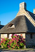 France, Finistere, Aven Country, Nevez, Kerascoet thatched houses village (16th century)\n