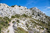 France, Bouches du Rhône, Pays d'Aix, Grand Site Sainte-Victoire, Sainte-Victoire mountain, hikers on the Imoucha Bleu trail\n