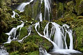 France, Doubs, Plaimbois Vennes, Pierrefontaine les Varans, waterfall mill Vermondans\n