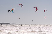 "Frankreich, Somme, Bucht der Somme, Le Crotoy, der Strand von Crotoy ist ein beliebtes Ziel für Kite- und Windsurfer; nach einem Sturm, wenn die Sonne mit einem kräftigen Wind zurückkehrt, sind die Sportler zahlreich und ihre bunten Segel erhellen die Landschaft"