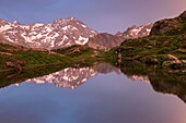 France, Hautes Alpes, national park of Ecrins, valley of Valgaudemar, La Chapelle en Valgaudemar, reflection of Sirac (3441m) on the lake of Lauzon (2008m)\n