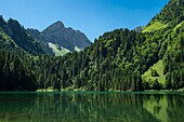 Frankreich, Haute Savoie, Chablais-Massiv, Abondance-Tal, Abondance, Plagnes-See und die Spitze von Chavache