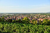 France, Bas Rhin, Obernai, general view with Saint Pierre and Paul church and chapel tower\n