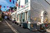 France, Somme, Somme Bay, Saint Valery sur Somme, At the time of the sea festivals, the district of Courtgain (the one where one gains little) which shelters the houses of the fishermen is decorated with nets fishing and gladioli\n