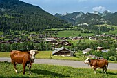 France, Haute Savoie, Chablais, Val d'Abondance, Portes du Soleil, Abondance Chapel, Abondance cow herd in front of the village and peaks of Arvouin, Linleu and Braitaz needle\n