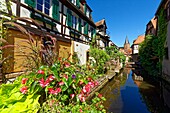 France, Bas Rhin, Outre Foret (Northern Alsace), Wissembourg, the little Venice and Saint-Pierre-Saint-Paul church\n