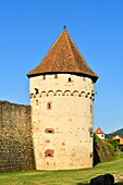 France, Haut Rhin, Alsace Wine Route, Bergheim, old medieval fortified town, 14th century ramparts, powder tower corbelled\n