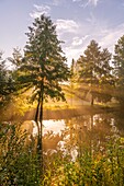 France, Somme, Valley of the Somme, Long, the banks of the Somme in the early morning, along the river\n