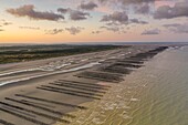 Frankreich, Somme, Marquenterre, Quend-Plage, der Strand von Quend-Plage, mit Fort-Mahon und der Authie-Bucht auf der einen Seite und der Somme-Bucht und den Bouchot-Muschelfarmen auf der anderen Seite (Luftaufnahme) (Luftaufnahme)