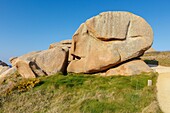 France, Cotes d'Armor, Pink Granite Coast, Perros Guirec, on the Customs footpath or GR 34 hiking trail, the rocks at Ploumanac'h point\n