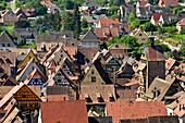 France, Haut Rhin, Alsace Wine Road, Riquewihr village, labelled Les Plus Beaux Villages de France (The Most Beautiful Villages of France), the Dolder, city gate\n