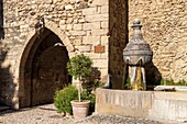 France, Drôme, regional natural park of Baronnies provençales, Montbrun-les-Bains, labeled the Most Beautiful Villages of France, fountain of the Belfry\n