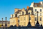Frankreich, Paris, von der UNESCO zum Weltkulturerbe erklärtes Gebiet, die Neuf-Brücke und die Gebäude auf dem Platz