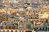 Frankreich, Paris, Blick über die Dächer von Paris en Zinc