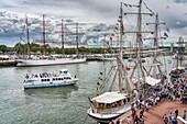 Frankreich, Seine Maritime, Armada von Rouen, die Armada von Rouen 2019 auf der Seine