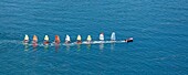 Frankreich, Morbihan, Golf von Morbihan, Segelschule (Luftaufnahme)