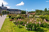 Frankreich, Somme, Authie-Tal, Argoules, die Gärten von Valloires und die Zisterzienserabtei, botanische und landschaftliche Gärten mit einem schönen Rosengarten