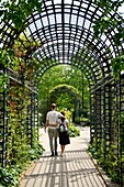 France, Paris, the Coulee Verte Rene-Dumont (former Promenade Plantee), on the site of an old railway line\n