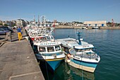 France, Manche, Cotentin, Granville, the Upper Town built on a rocky headland on the far eastern point of the Mont Saint Michel Bay, fishing port and trawlers\n