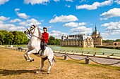 Frankreich, Oise, Chantilly, Chateau de Chantilly, die Grandes Ecuries (Große Ställe), Estelle, Reiterin der Grandes Ecuries, macht ihr Pferd vor dem Schloss zurecht