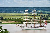 France, Seine Maritime, Tancarville, Armada of Rouen 2019, the three-masted barque Cuauhtemoc at the Tancarville Bridge\n