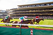 France, Paris, Longchamp Racecourse, the price of the Triumphal Arch of Qatar\n