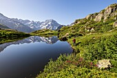 France, Hautes Alpes, national park of Ecrins, valley of Valgaudemar, La Chapelle en Valgaudemar, reflection of Sirac (3441m) on the lake of Lauzon (2008m)\n