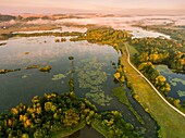 France, Somme, Valley of the Somme, Long, the swamps of the Somme at Long in the early morning, the valley of the Somme still misty (vue aérienne)\n