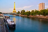 France, Paris, banks of the Seine, district of Front de Seine in the 15th arrondissement\n