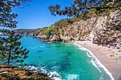 France, Finistere, Presqu'i?le de Crozon, the beach of the Virgin Island in Saint Hernot\n