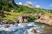 France, Hautes Alpes, Ecrins National Park, Champsaur, Drac Noir valley, Prapic, footbridge on the Drac Noir river near Saut du Laire\n