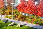 France, Paris, Batignolles district, Martin Luther King Park redeveloped on former grounds of the SNCF in autumn\n
