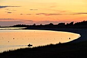 Frankreich, Morbihan, Golf von Morbihan, Regionaler Naturpark des Golfs von Morbihan, Locmariaquer, Kerpenhir Point, der Strand