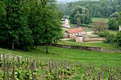 Frankreich, Yvelines, Magny les Hameaux, Port Royal des Champs, ehemalige Abtei, Weinberg, Oratorium vom Ende des 19.