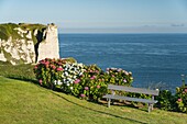 France, Seine Maritime, Etretat, Cote d'Abatre, the golf\n