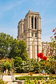 France, Paris, area listed as World Heritage by UNESCO, the Notre Dame Cathedral in Paris\n