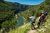 Frankreich, Ardeche, Reserve Naturelle des Gorges de l'Ardeche, Saint Remeze, begleitete Wanderung mit einem Wächter des Syndicat mixte de Gestion des Gorges de l'Ardeche